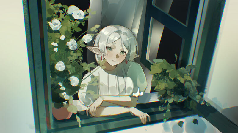 Window, 2026