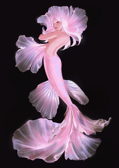 betta mermaid (July 2023)